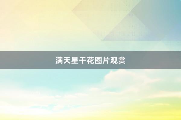 满天星干花图片观赏
